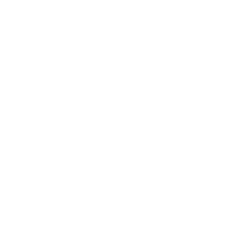 loginet