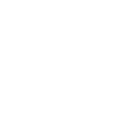 loginet