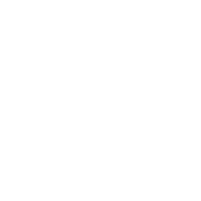 loginet