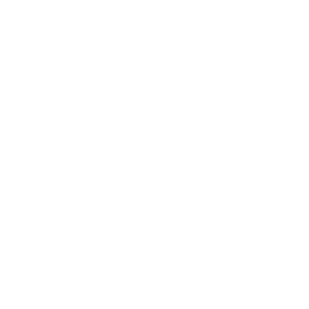 loginet