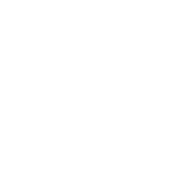 loginet